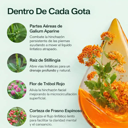 Gotas de drenaje linfático ®