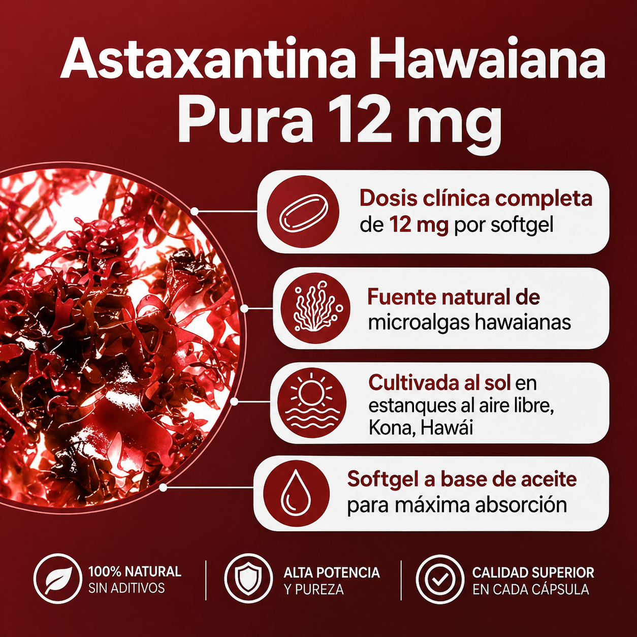 Astaxantina - El Antioxidante Maestro para tu Salud Visual, Renal, piel y Energía.