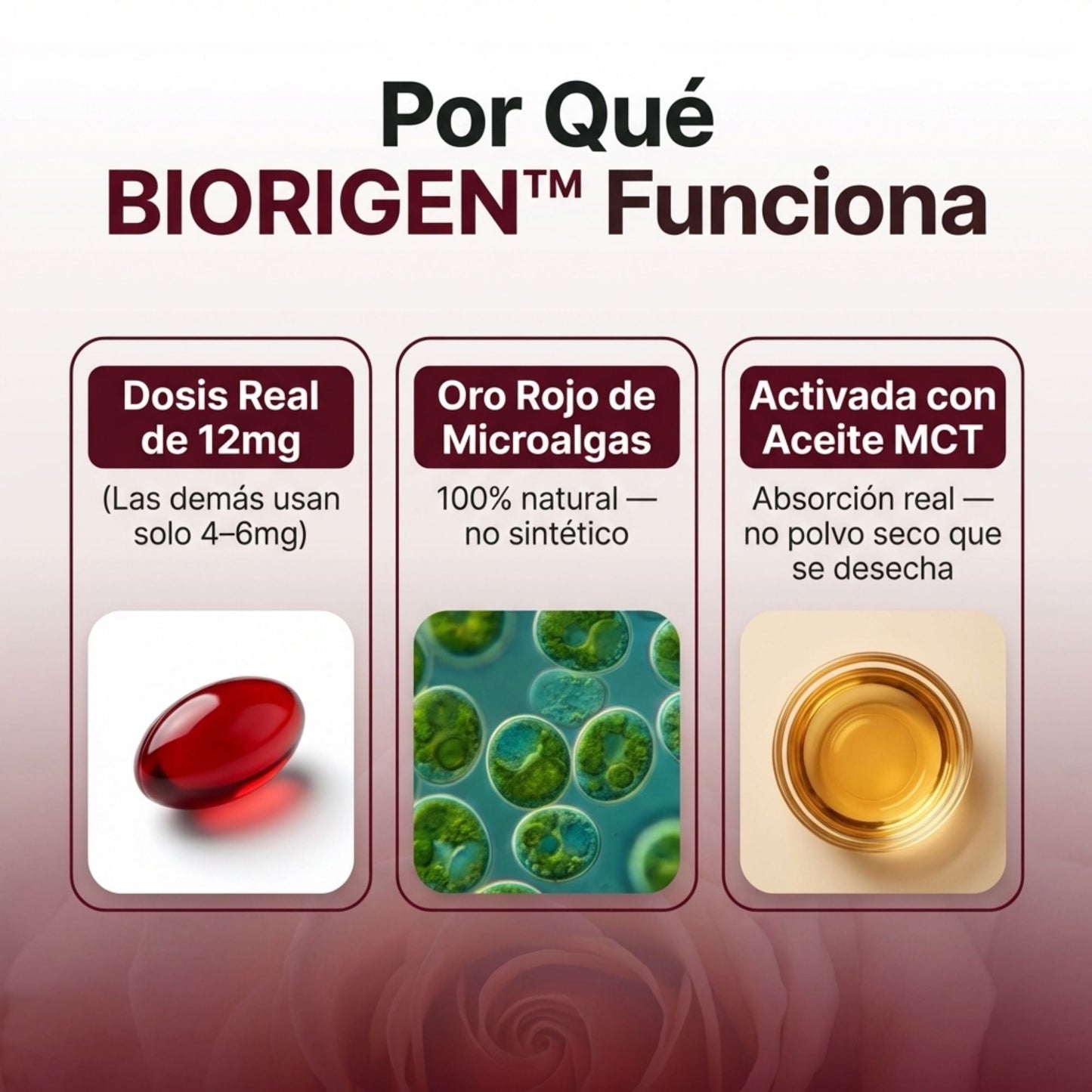 Astaxantina - El Antioxidante Maestro para tu Salud Visual, Renal, piel y Energía.